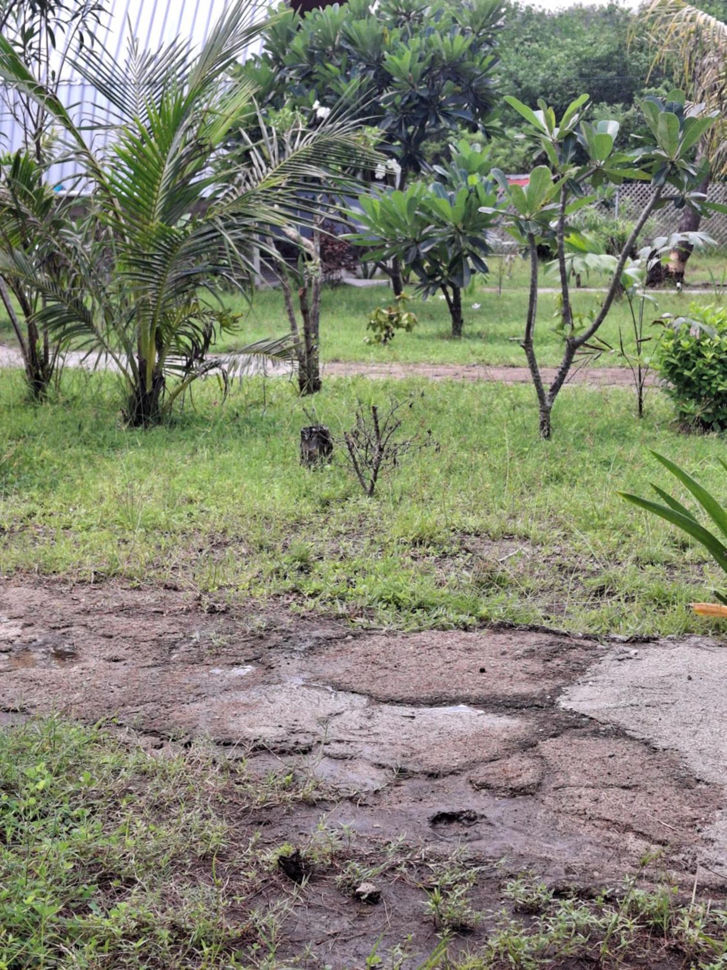 Cnunk Bungalow Gili Meno Dış mekan fotoğraf