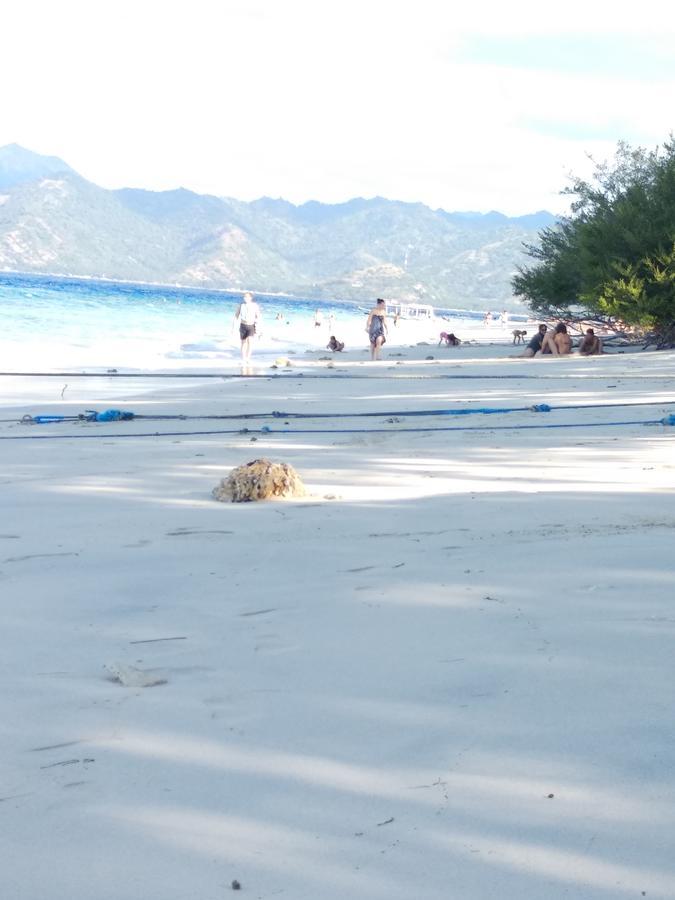 Cnunk Bungalow Gili Meno Dış mekan fotoğraf